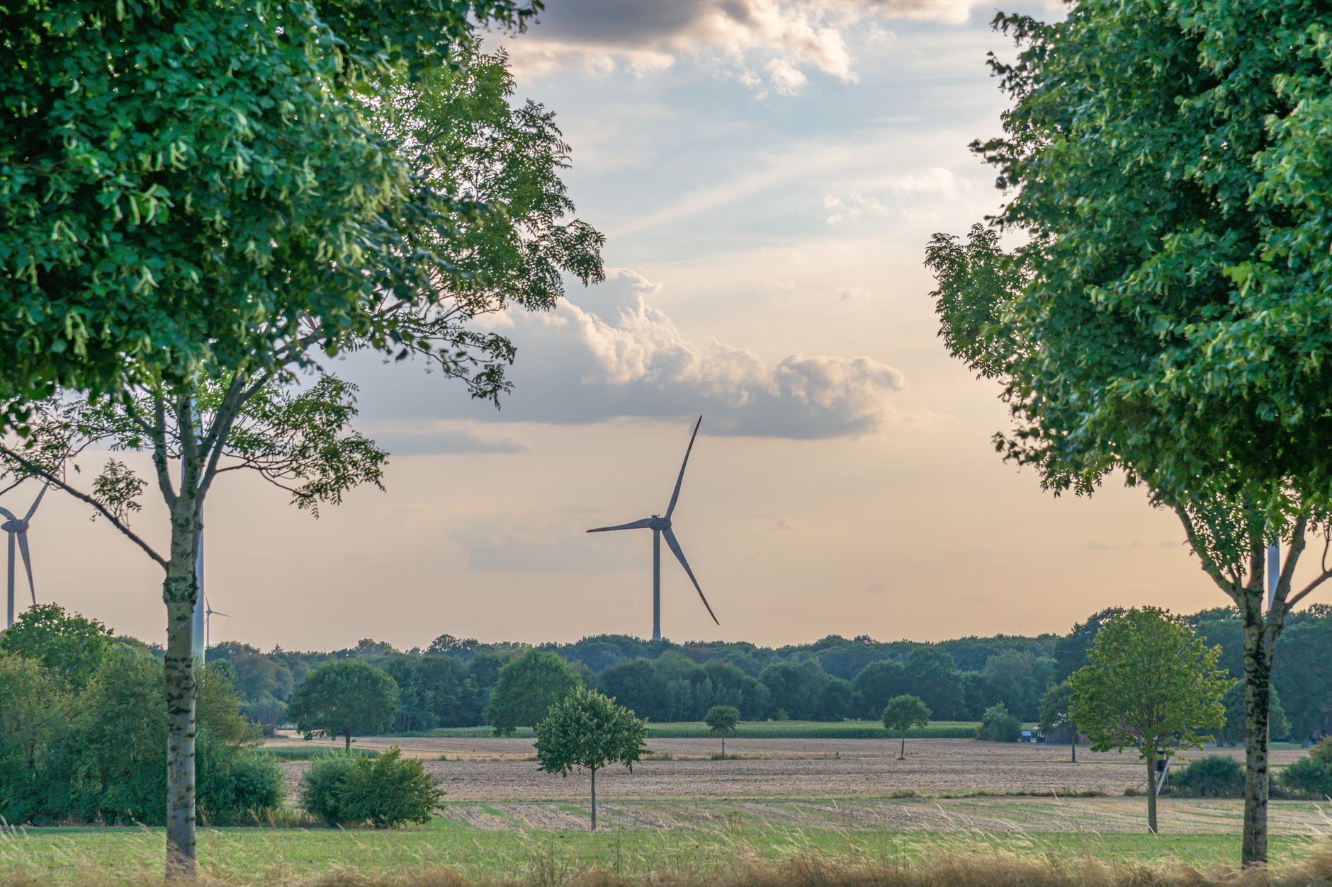 Amthor gegen Grundgesetzänderung für Klimaanpassung