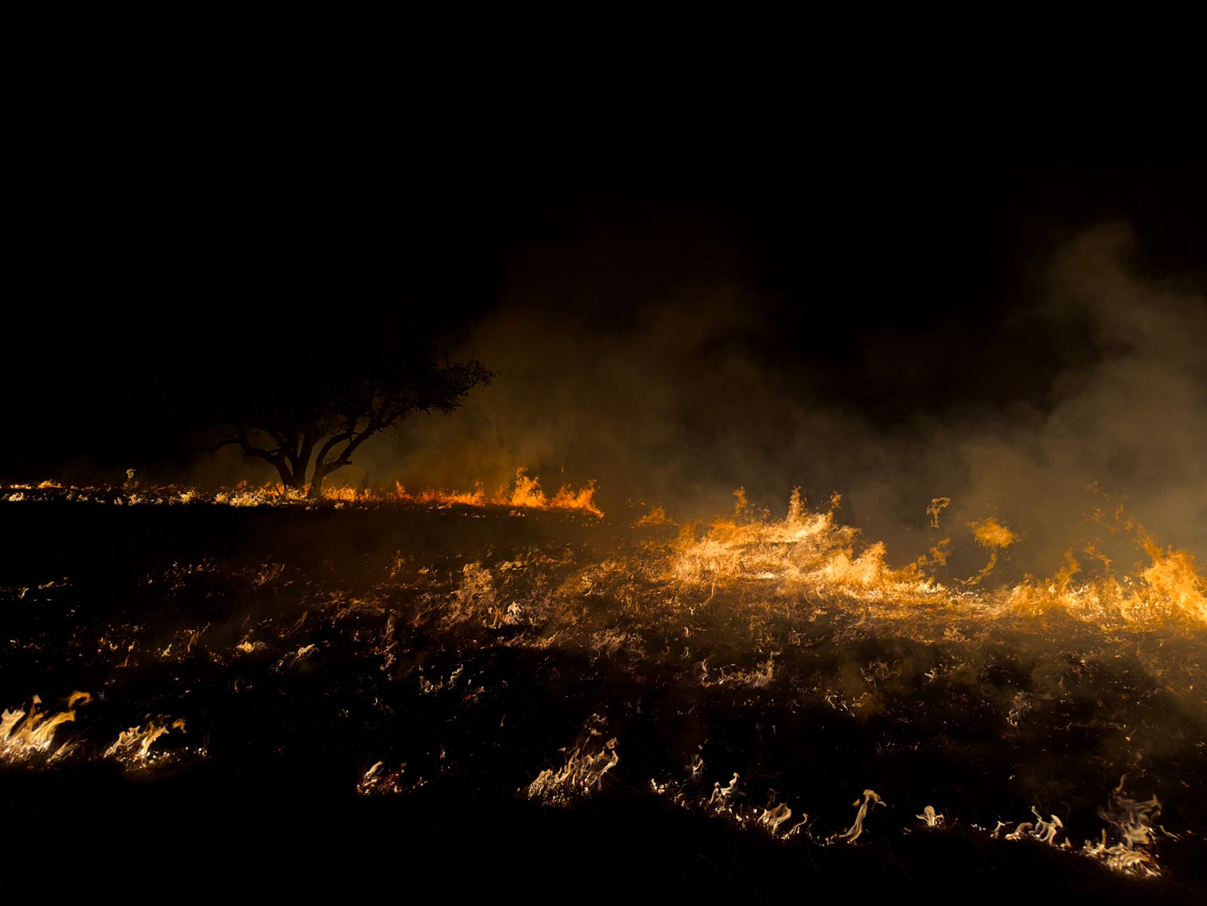Waldbrand in Belgien: 3.000 Hektar im Hohen Venn zerstört
