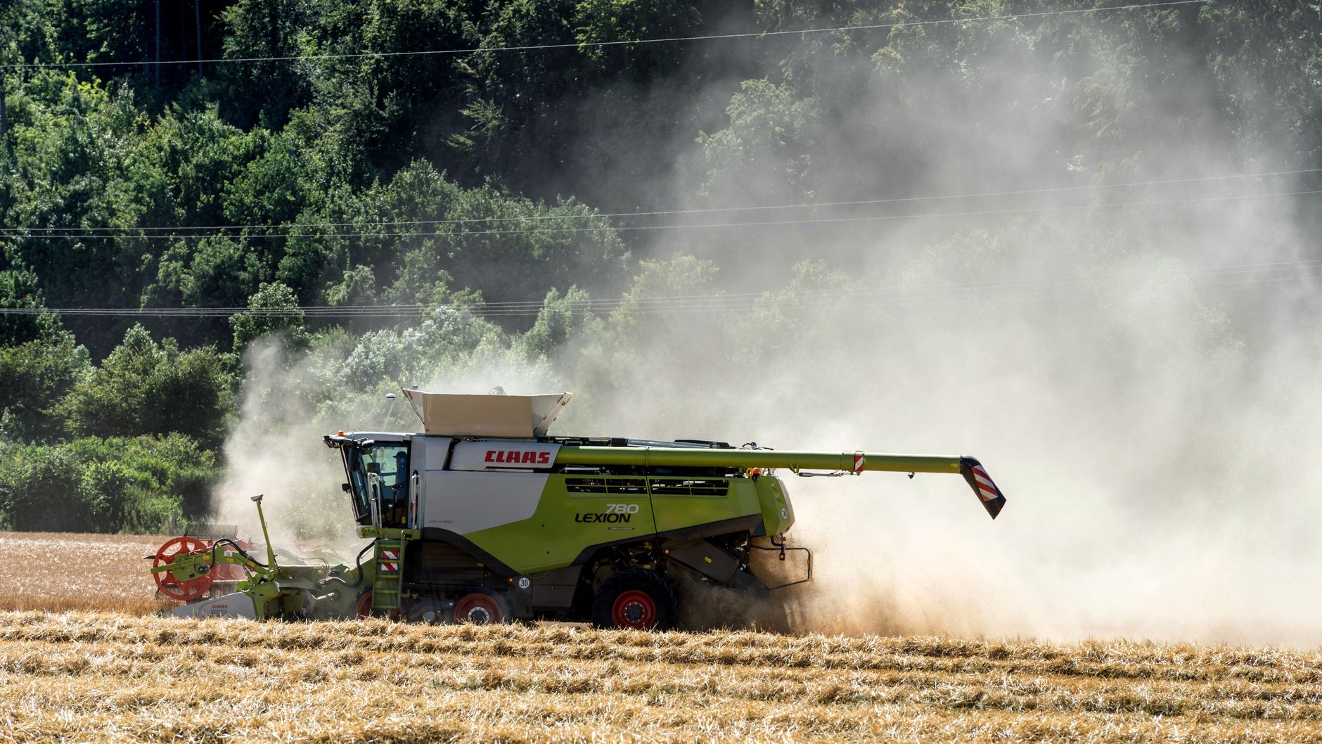 Wegen Hitze: Ernte fällt geringer aus als im Vorjahr