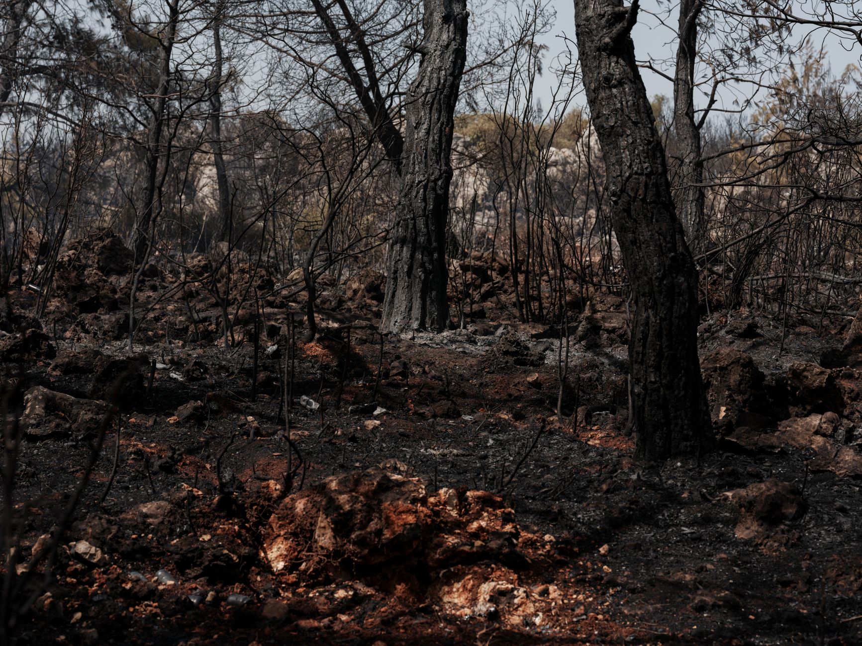 Studie: Waldbrände in Europa könnten sich fast verdreifachen