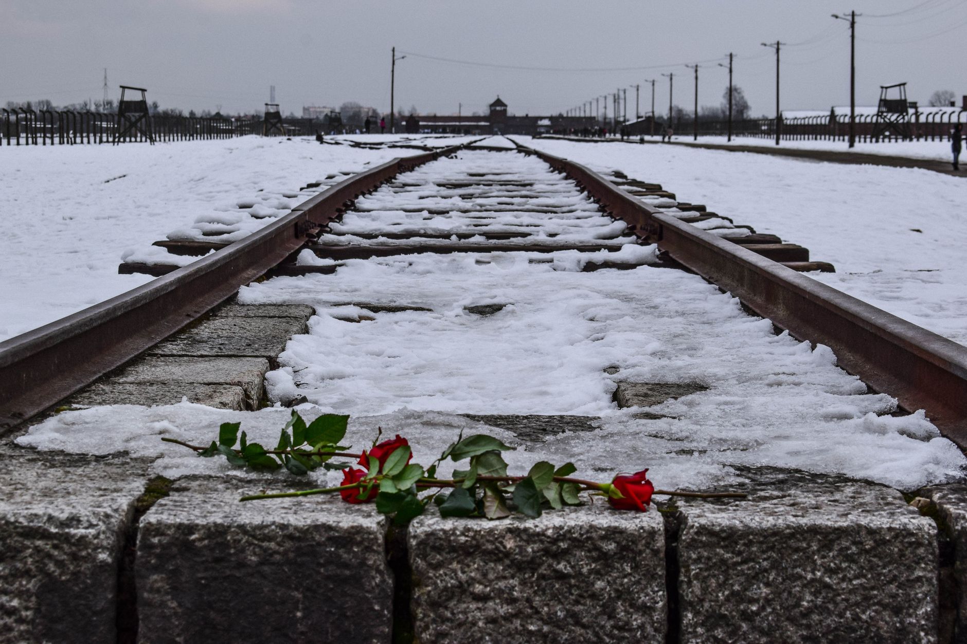 Holocaust Überlebende Knobloch - "Bei AfD-Regierungsübernahme in Sachsen-Anhalt werden Juden auswandern"