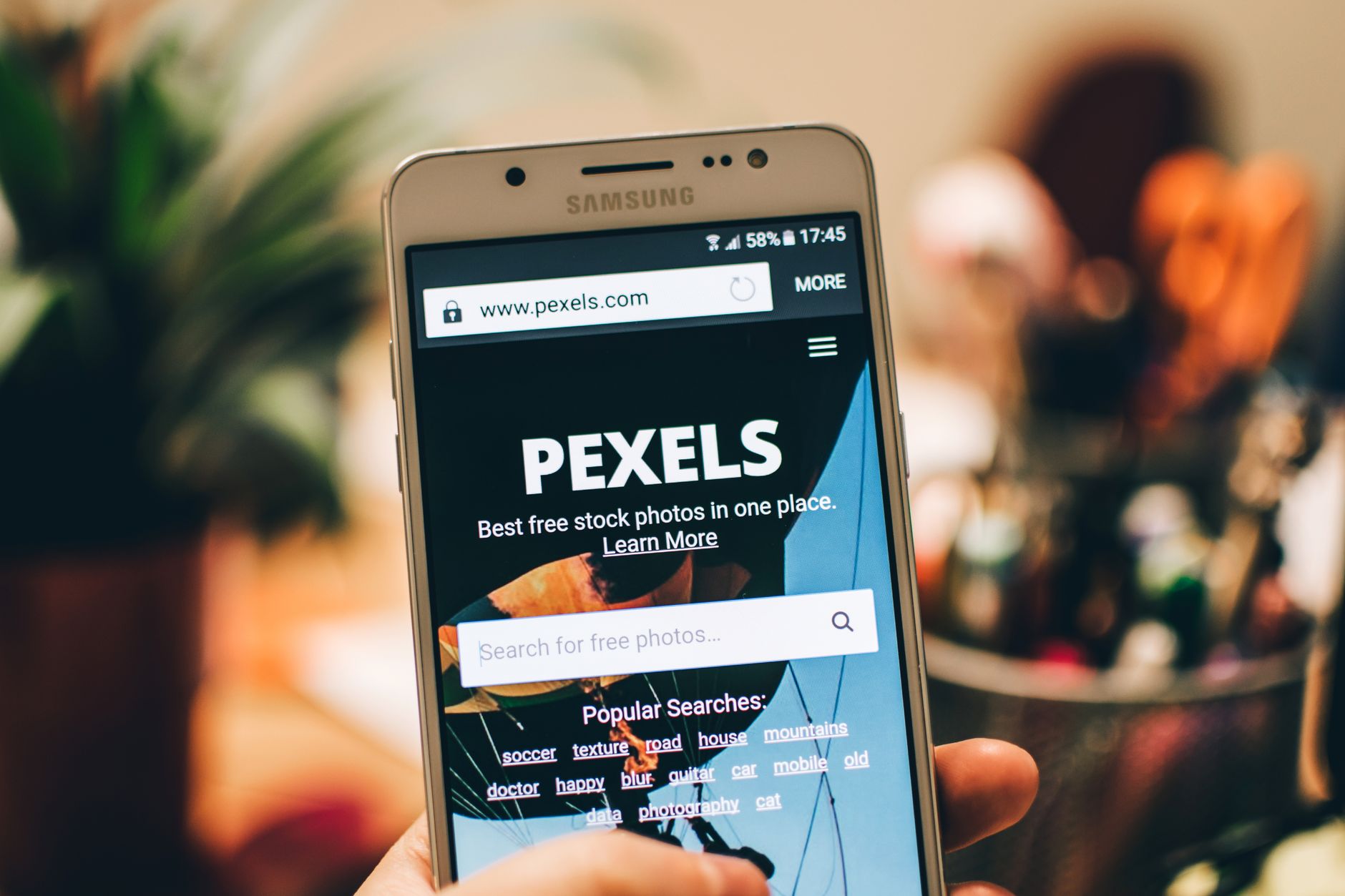(g+) PGLite: PostgreSQL zieht in den Browser