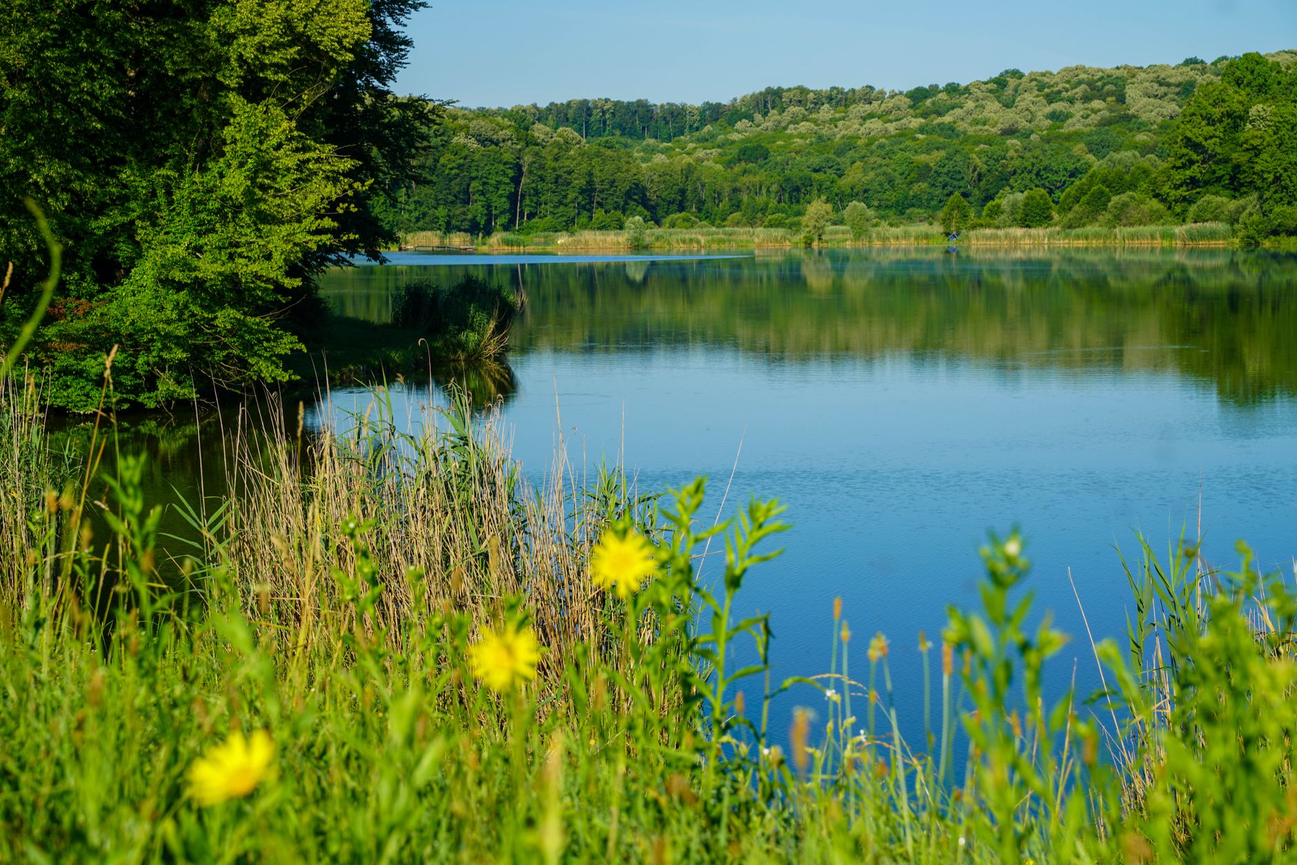 Naturschutz - Deutschland unterstützt Weltnaturerbe-Gebiete in der Ukraine