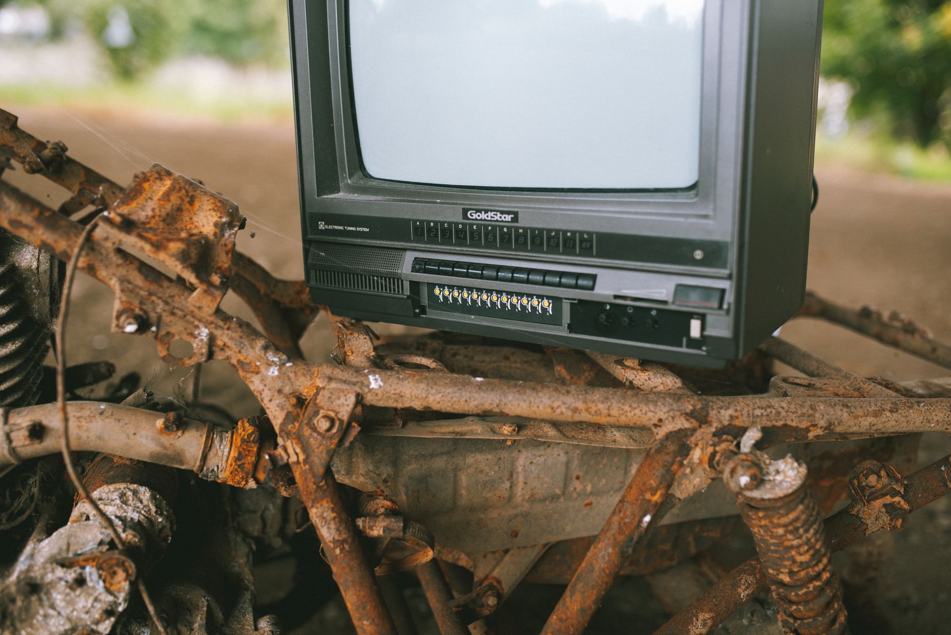 Kambrische Explosion: War Kot der Motor der Evolution?