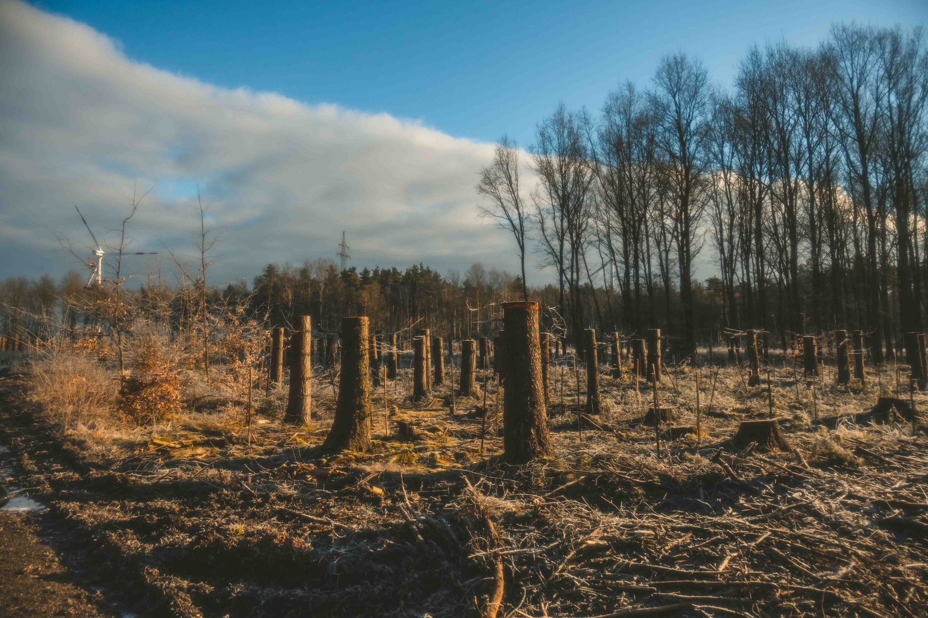 Merz besucht Waldbrandgebiet: "Das ist Klimawandel"