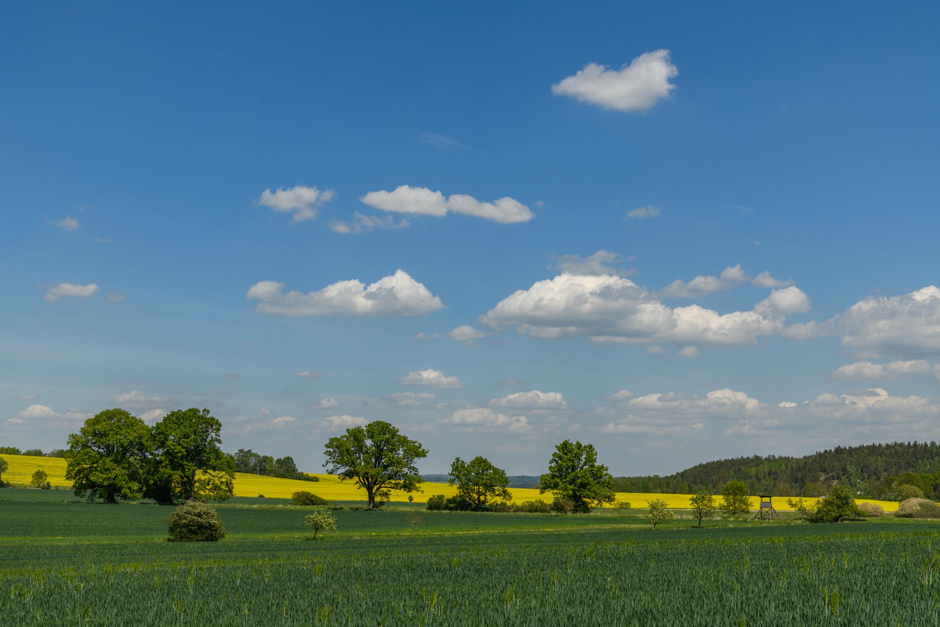 Wetter - Teils sonnig, teils bewölkt, 20 bis 28 Grad