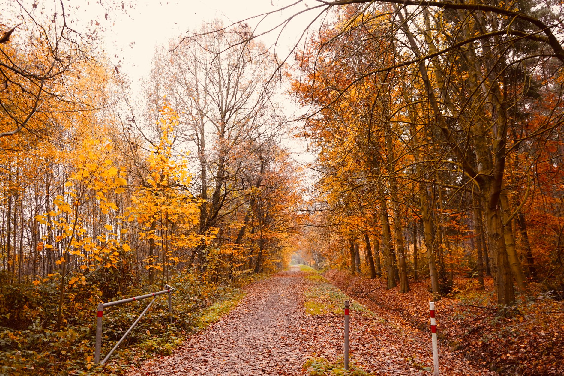Klappt es diesmal mit dem Herbst der Reformen?