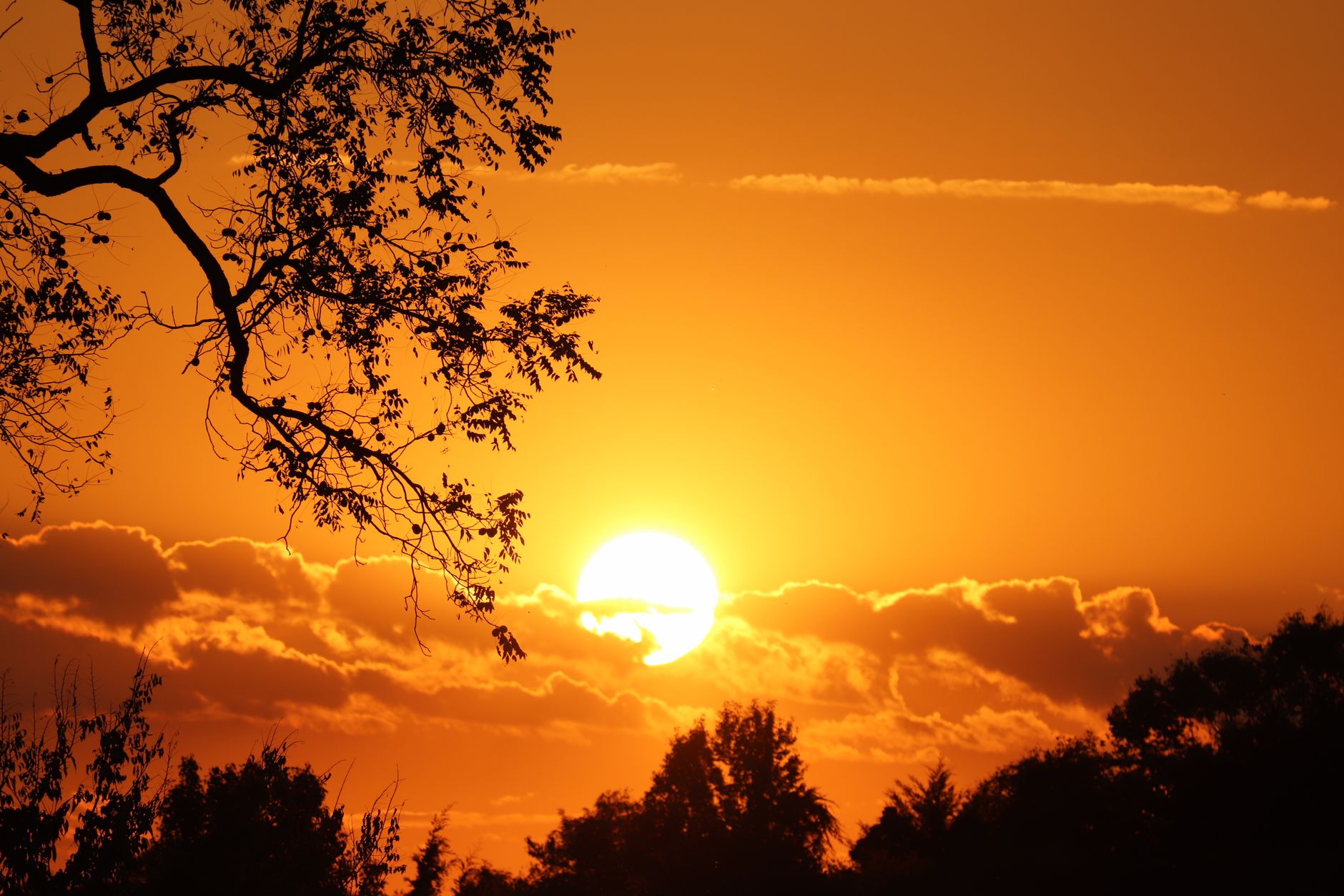 Wetter - Im Norden und Osten Sonne, sonst gebietsweise Regen