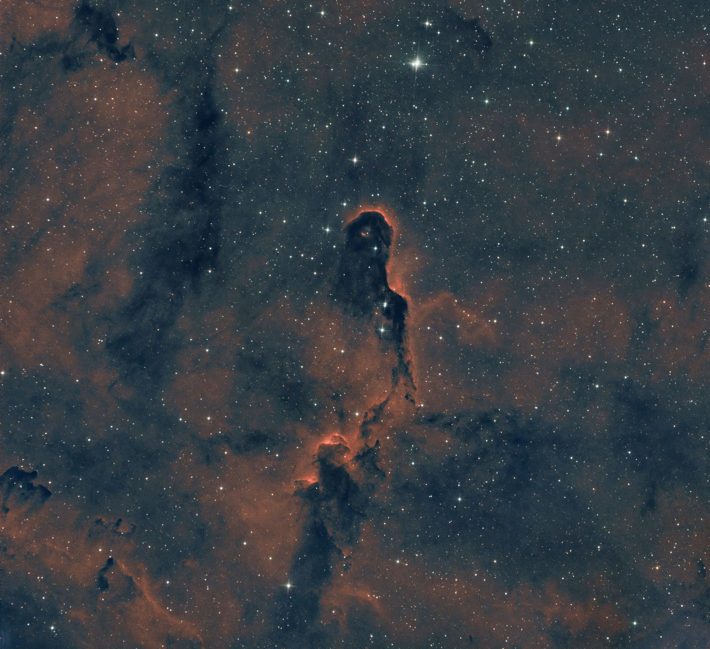 Licht- und Medienkunst "Nebula" in den Beelitzer Heilstätten