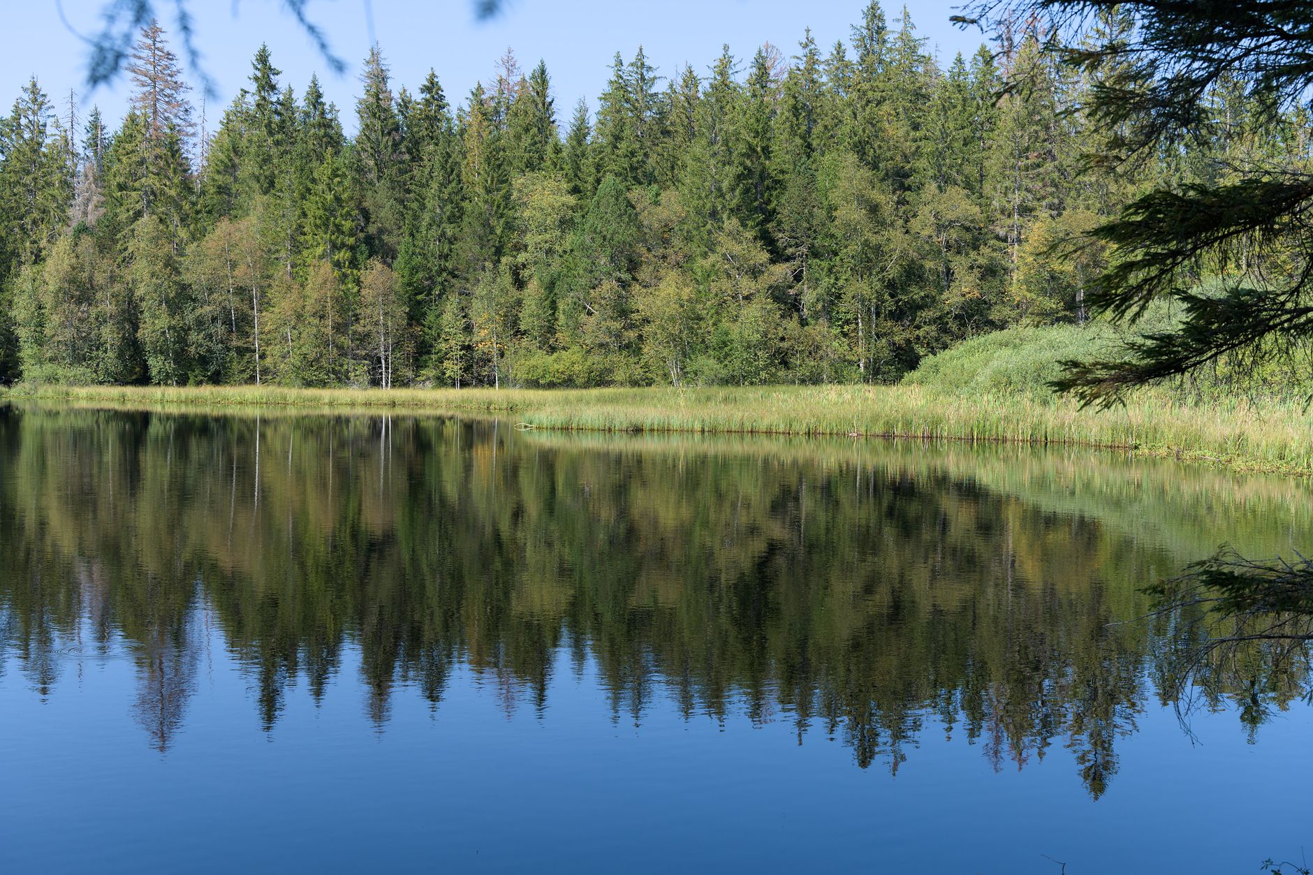 Geheimes Waffenversteck im Wald - Spiegel-Recherche: Waffenkurier soll im Auftrag Russlands gehandelt haben