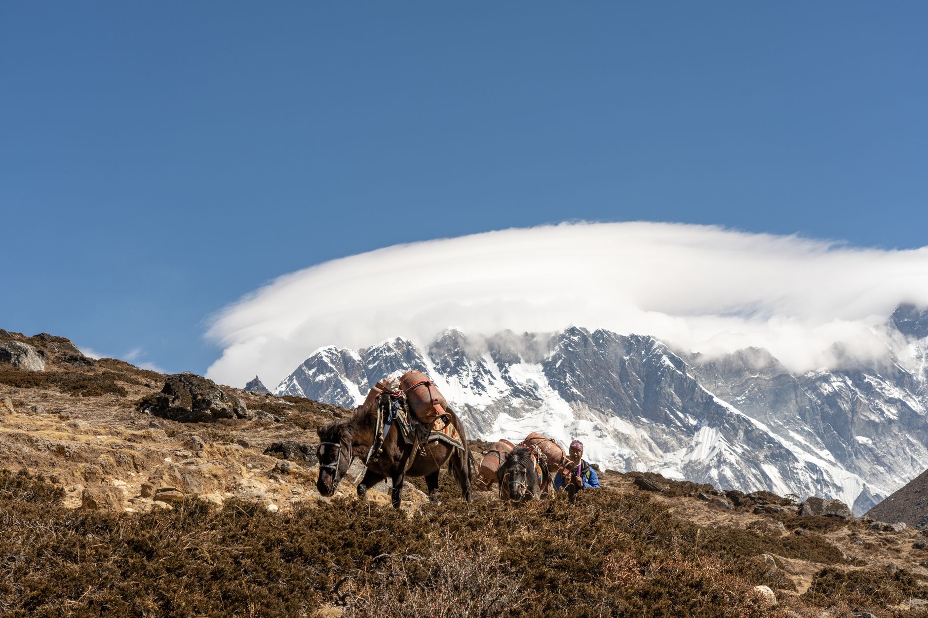 Nepal: Hunderte Touristen vermisst - 95 Tote