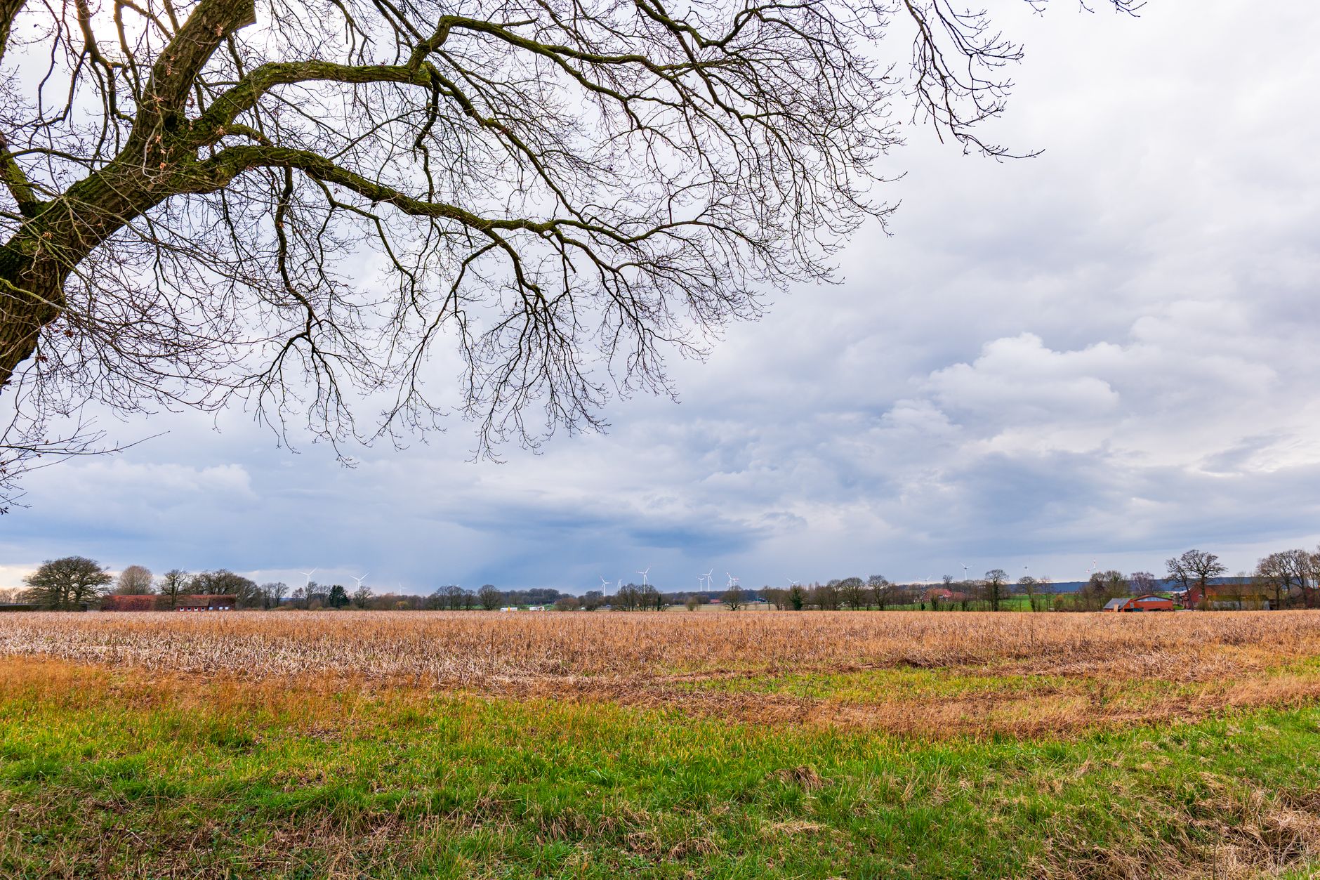 Wetter - Es bleibt vorerst wechselhaft