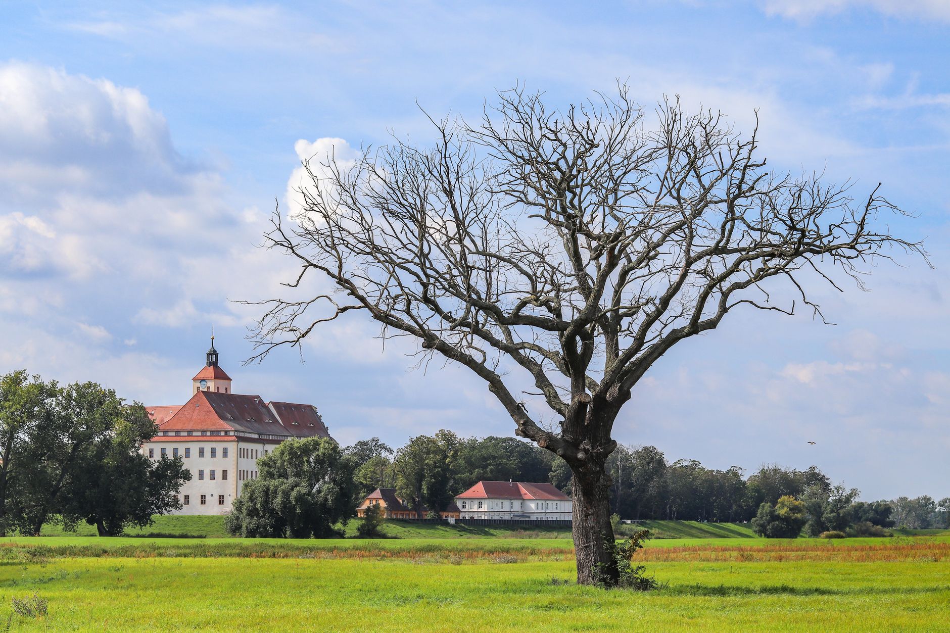 Landtagswahl in Sachsen-Anhalt: CDU vor der Zerreißprobe?