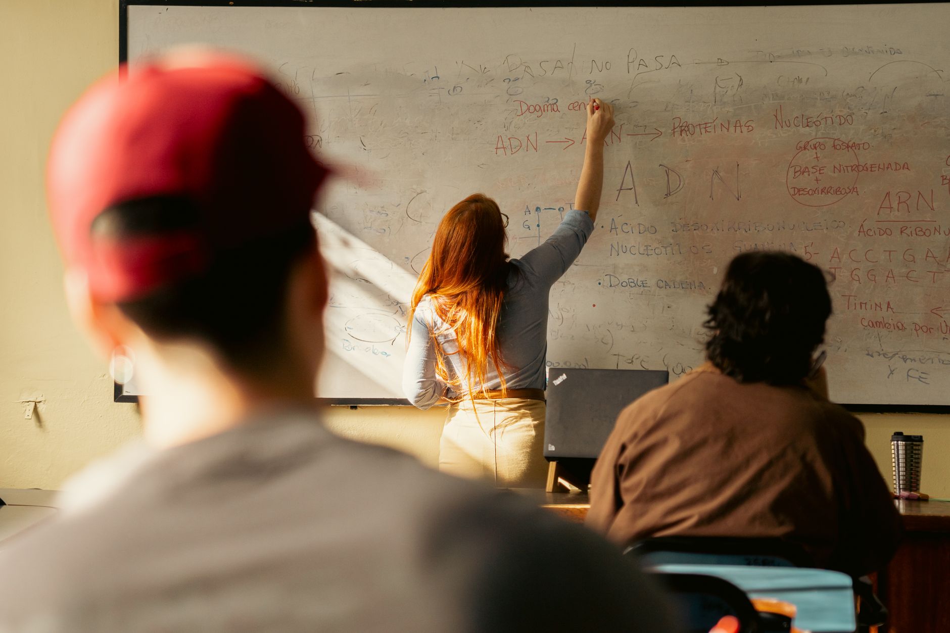 Bafög: Warum Studierende oft viel Geld liegen lassen