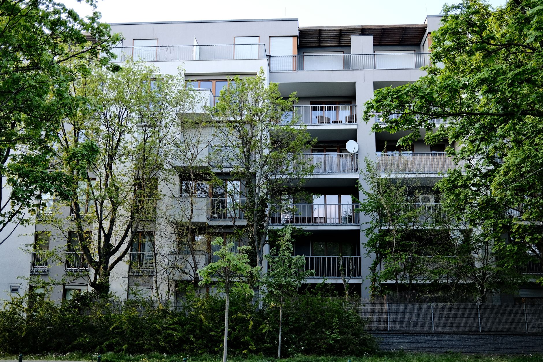 Mieterbund: 1,4 Millionen Wohnungen fehlen