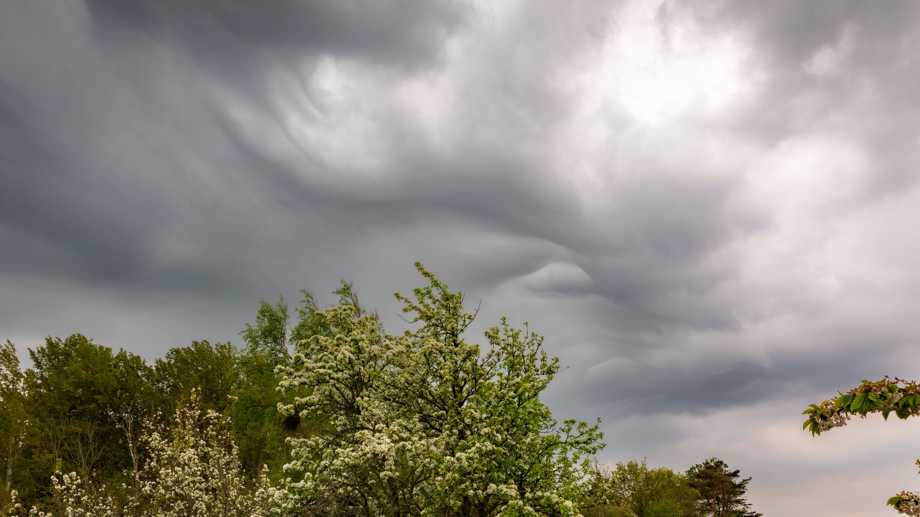 Wetterphänomen El Niño wird überall zu spüren sein