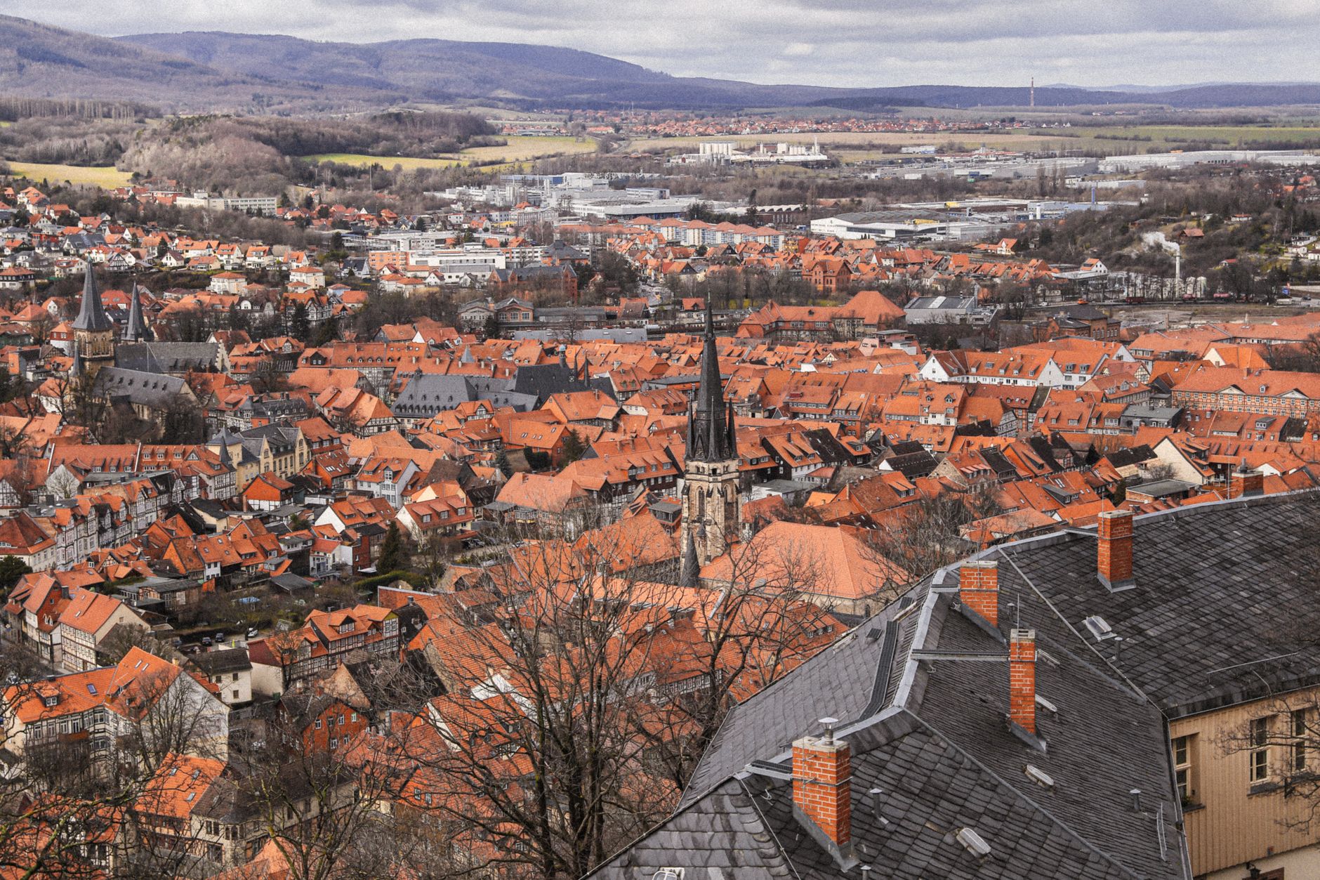 Wahl in Sachsen-Anhalt: heute journal aus Dessau