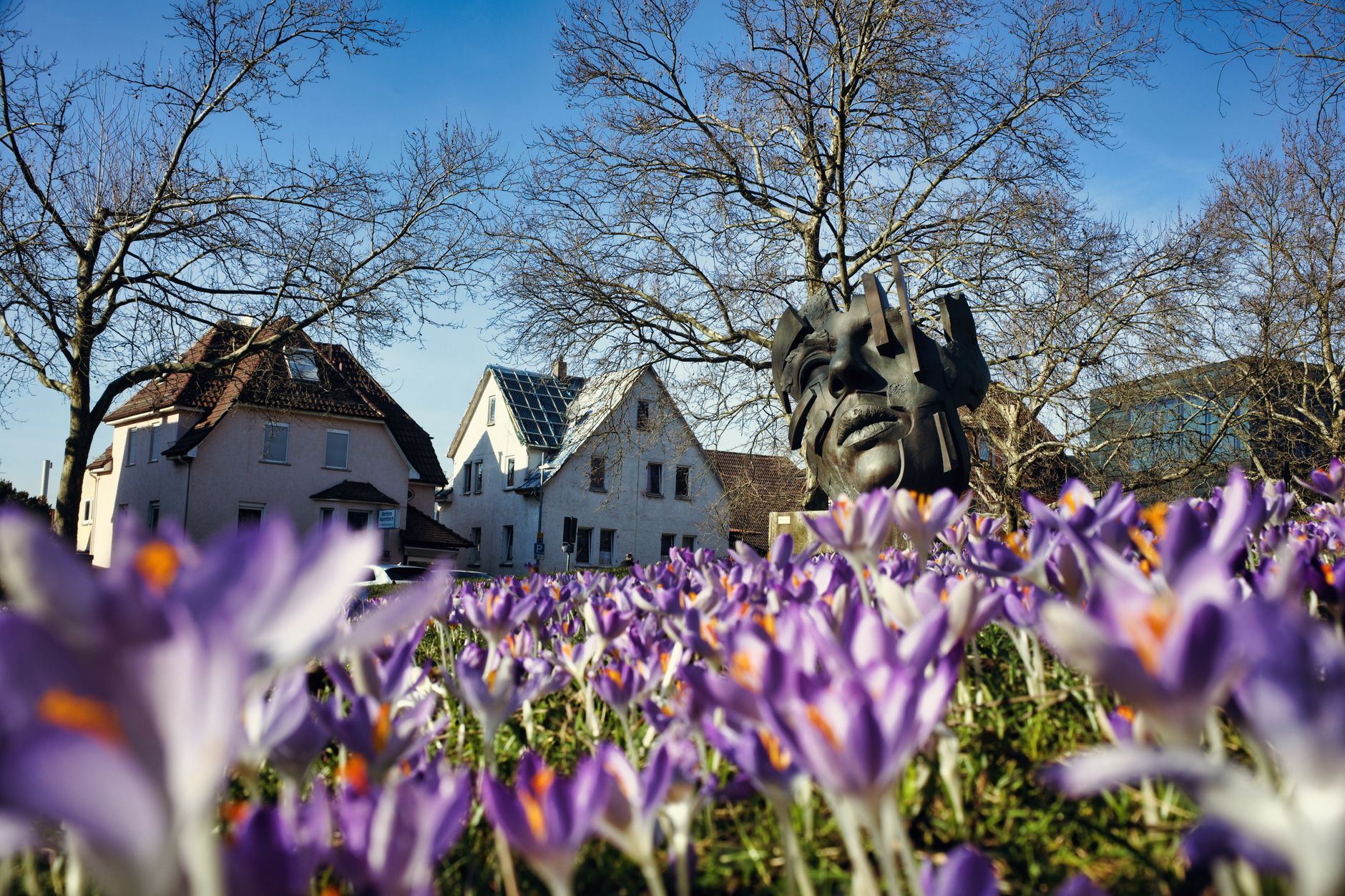 Botanischer Garten: Neues WC-Haus wird eingebaut