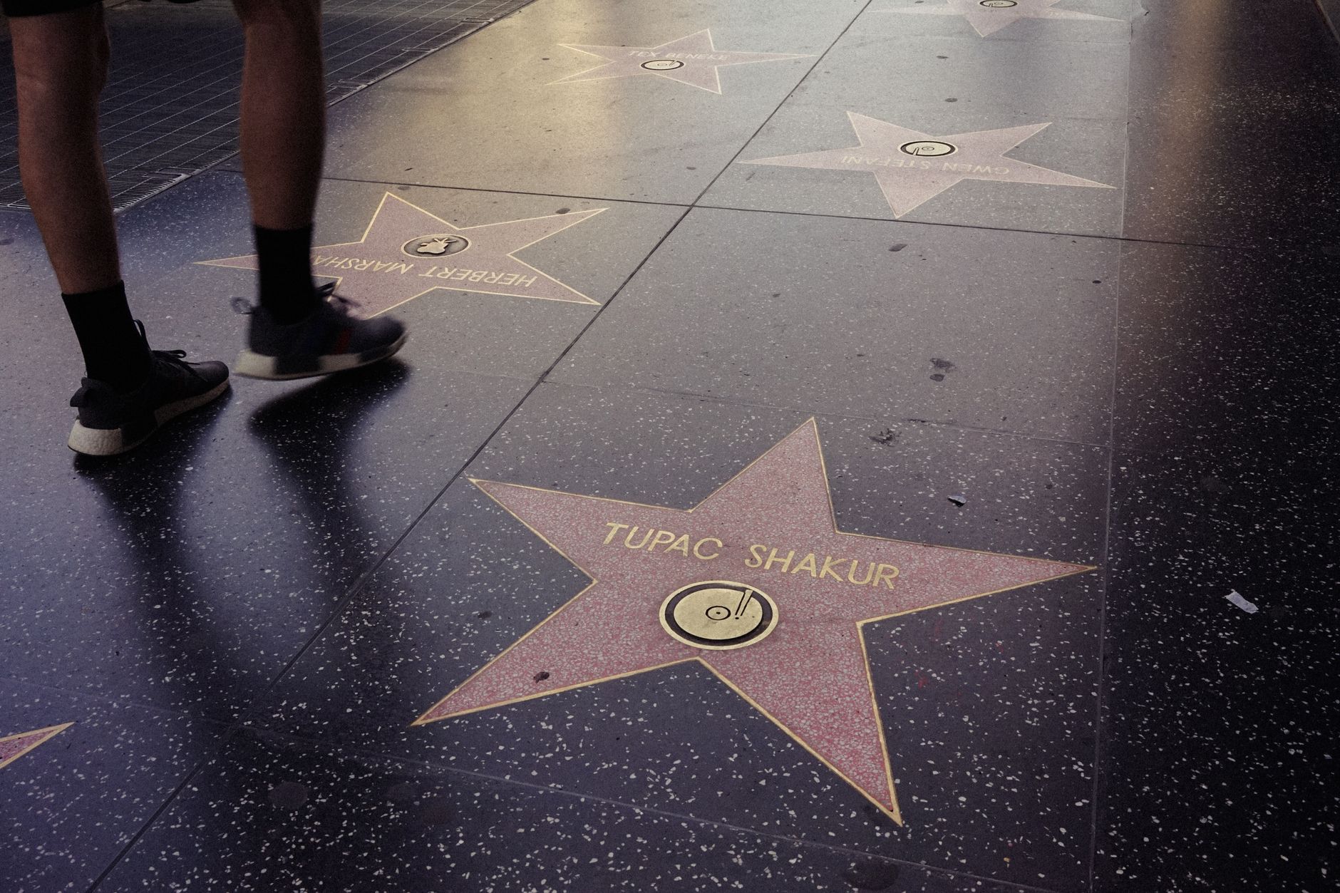 Pop-Anthologie: 2Pac: Die Rose, die aus dem Beton wuchs