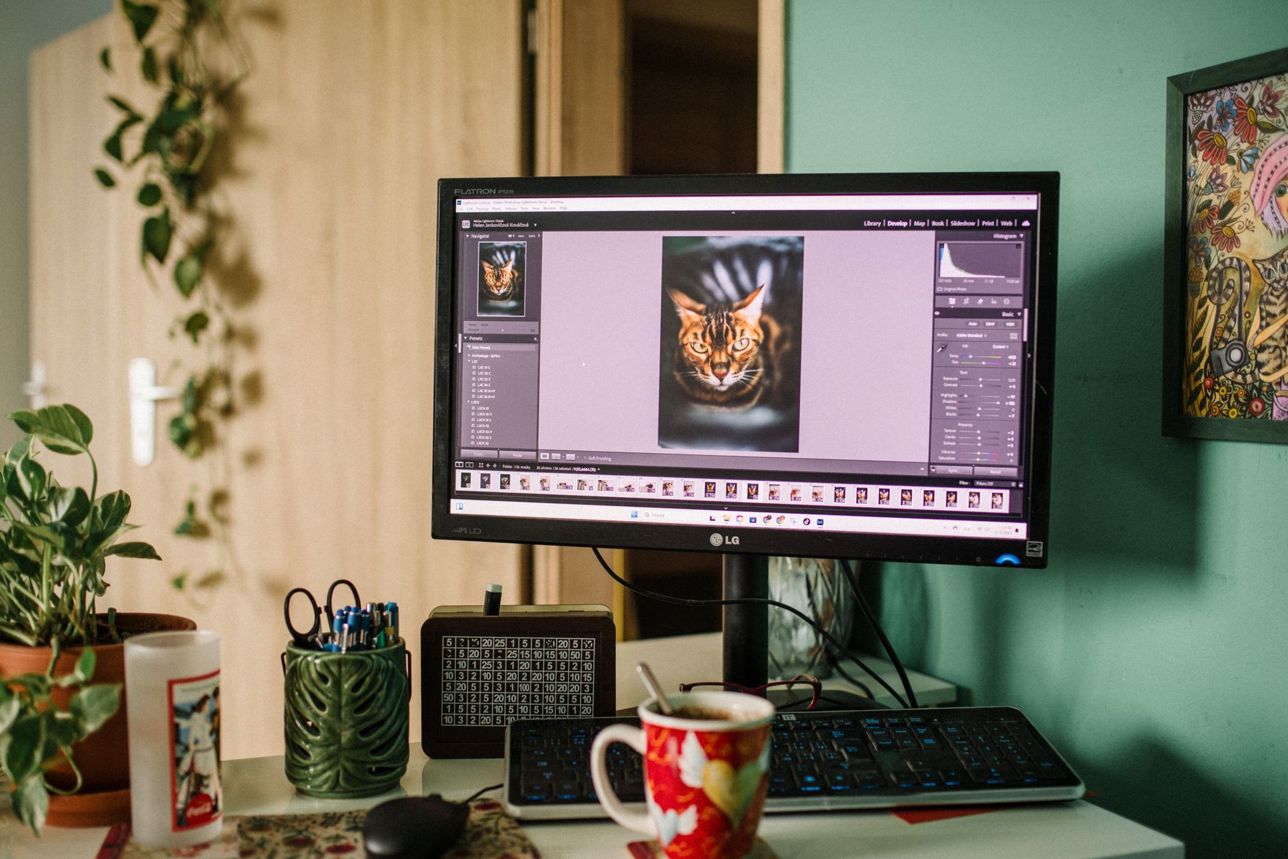 Top 10: Der beste portable Monitor ab 60 Euro im Test – von günstig bis faltbar