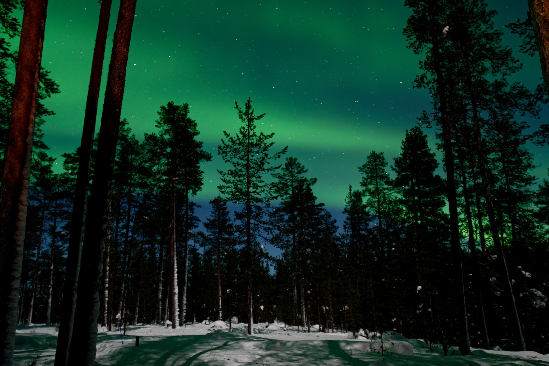 Finnland - Arktis-Gipfel mit Merz hat begonnen