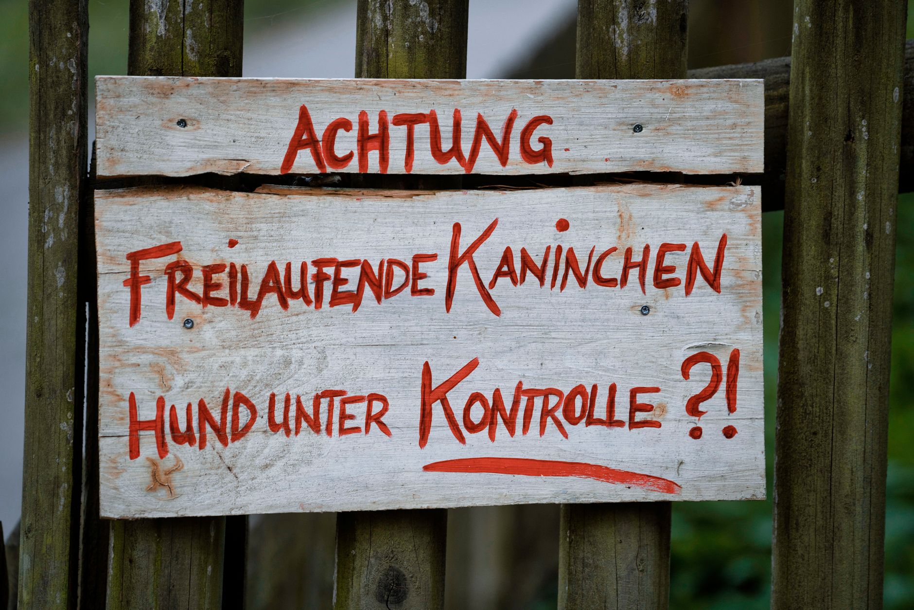 Kapazitäten im Strafvollzug: Wenn es voll wird im Gefängnis