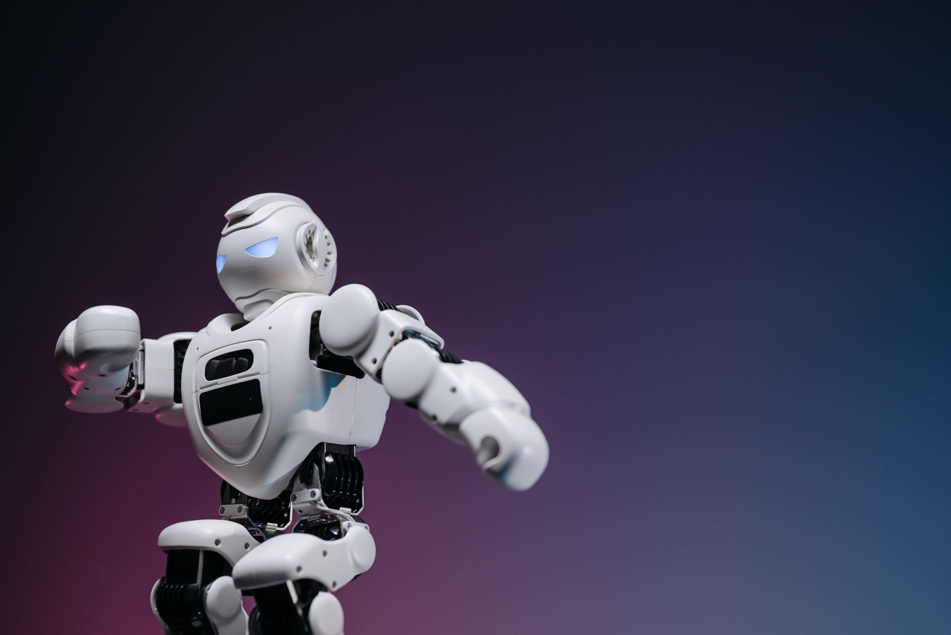 Breakpoint: Roboter-Republik