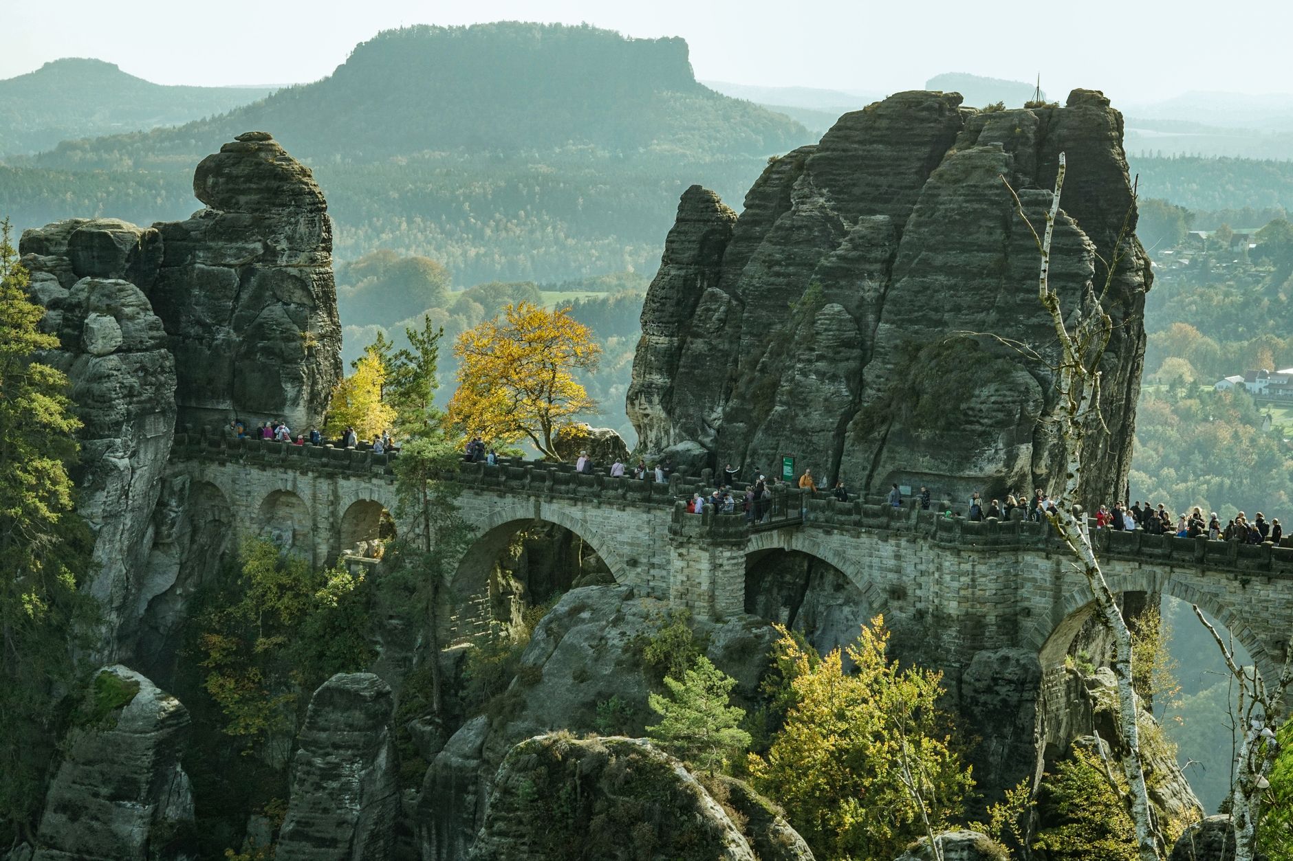 Reisen in die Boom-Region: Merz und Steinmeier gleichzeitig in Asien