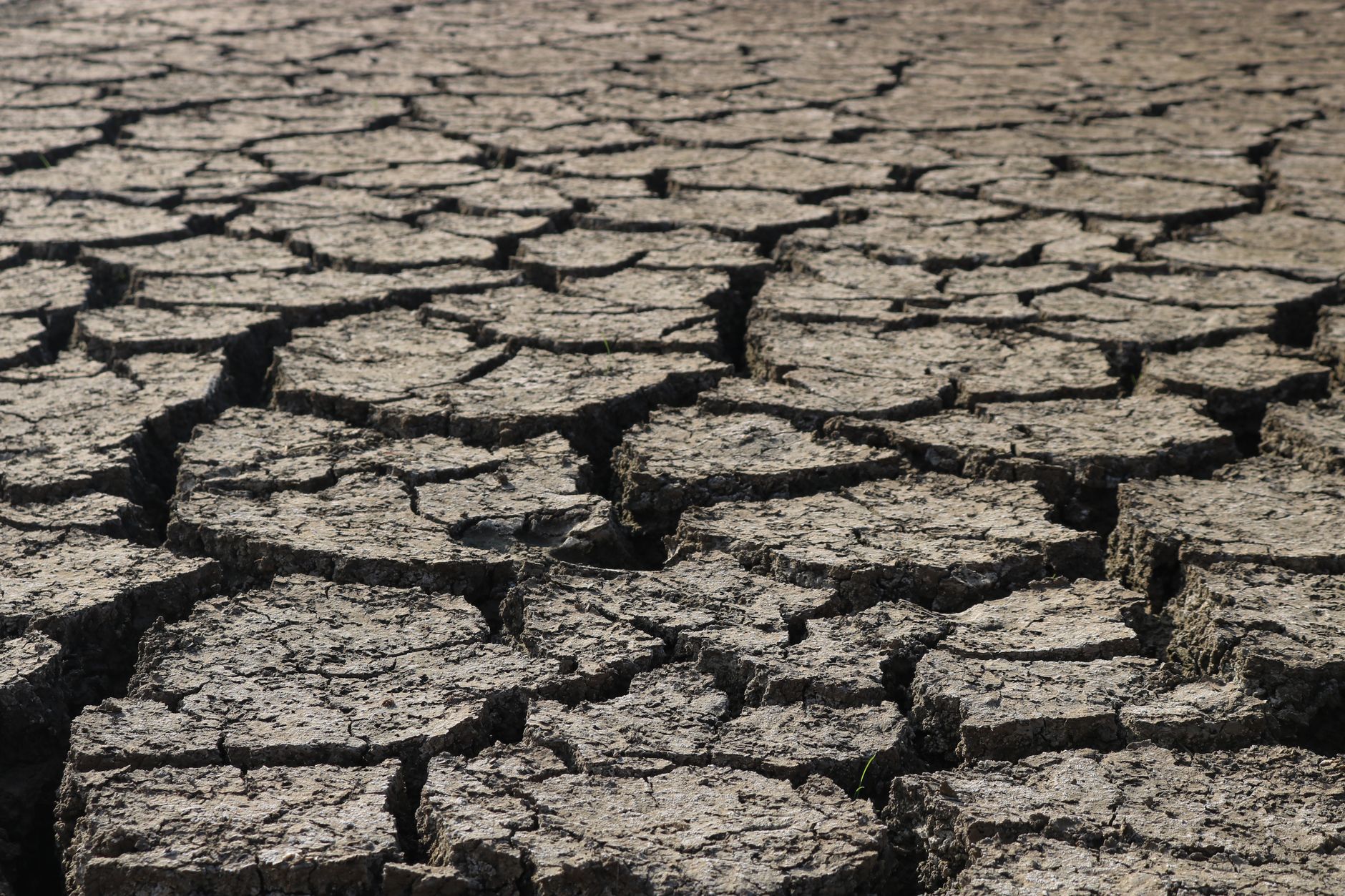 Aktuelle Dürre in Europa durch Klimawandel verursacht