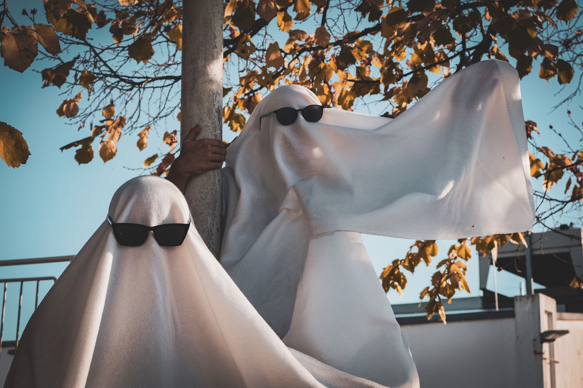 Elmo kennt das gruseligste Halloween-Kostüm, er geht als Miranda Priestly