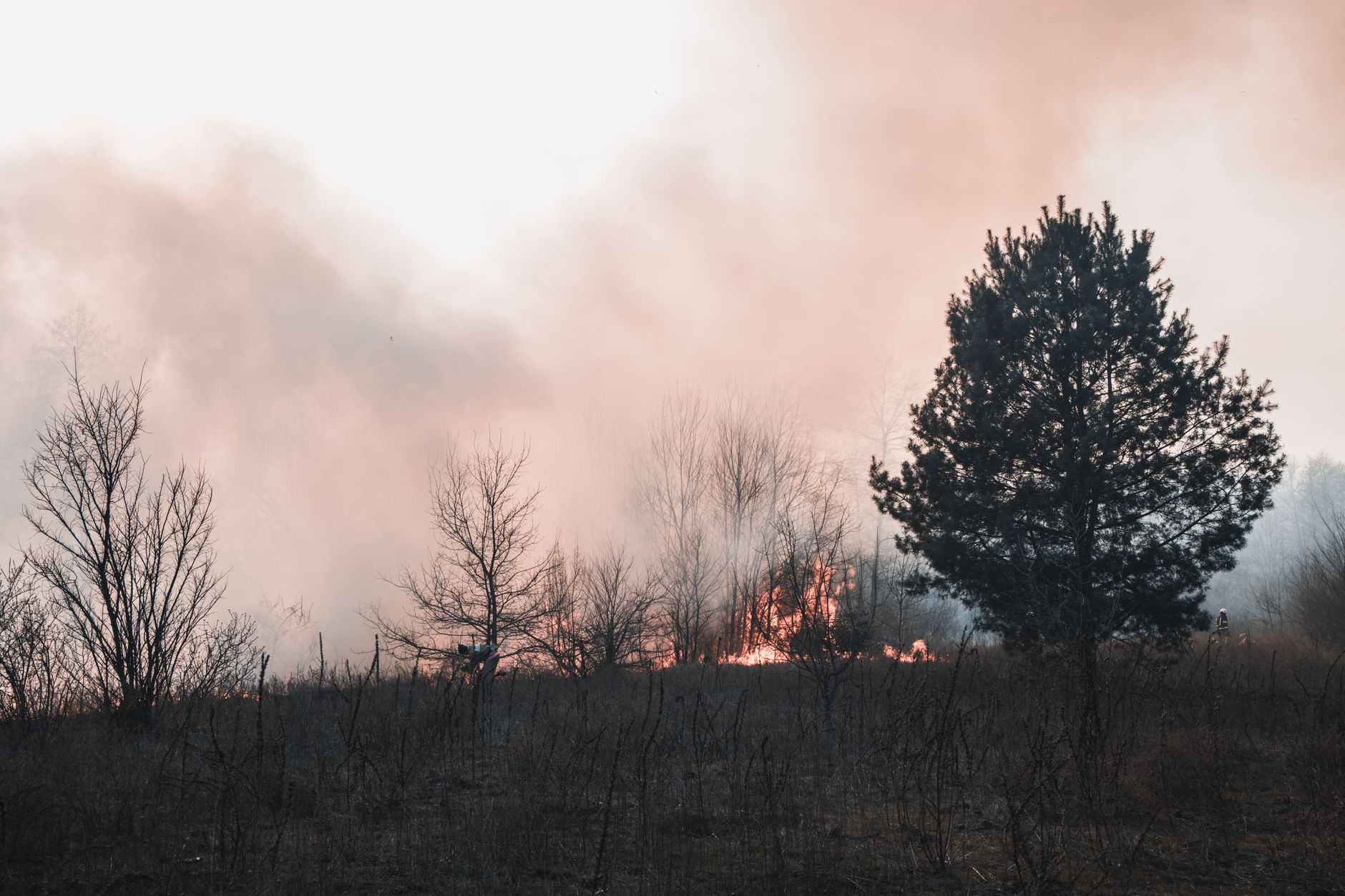 Waldbrände in Südeuropa: Der komplexe Kampf gegen das Feuer