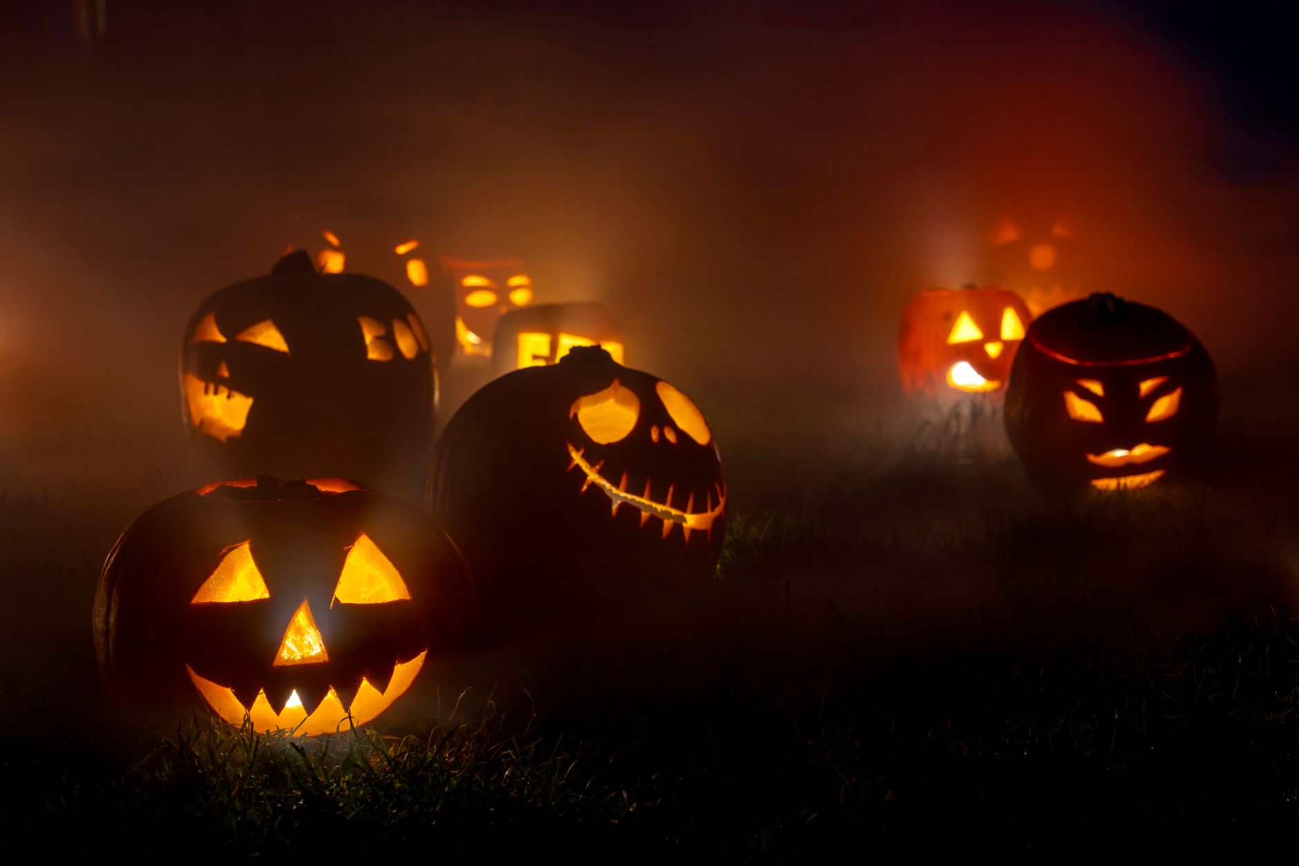 Halloween: Warum wir Deutschen mehr Eskalation und Grusel im Alltag brauchen