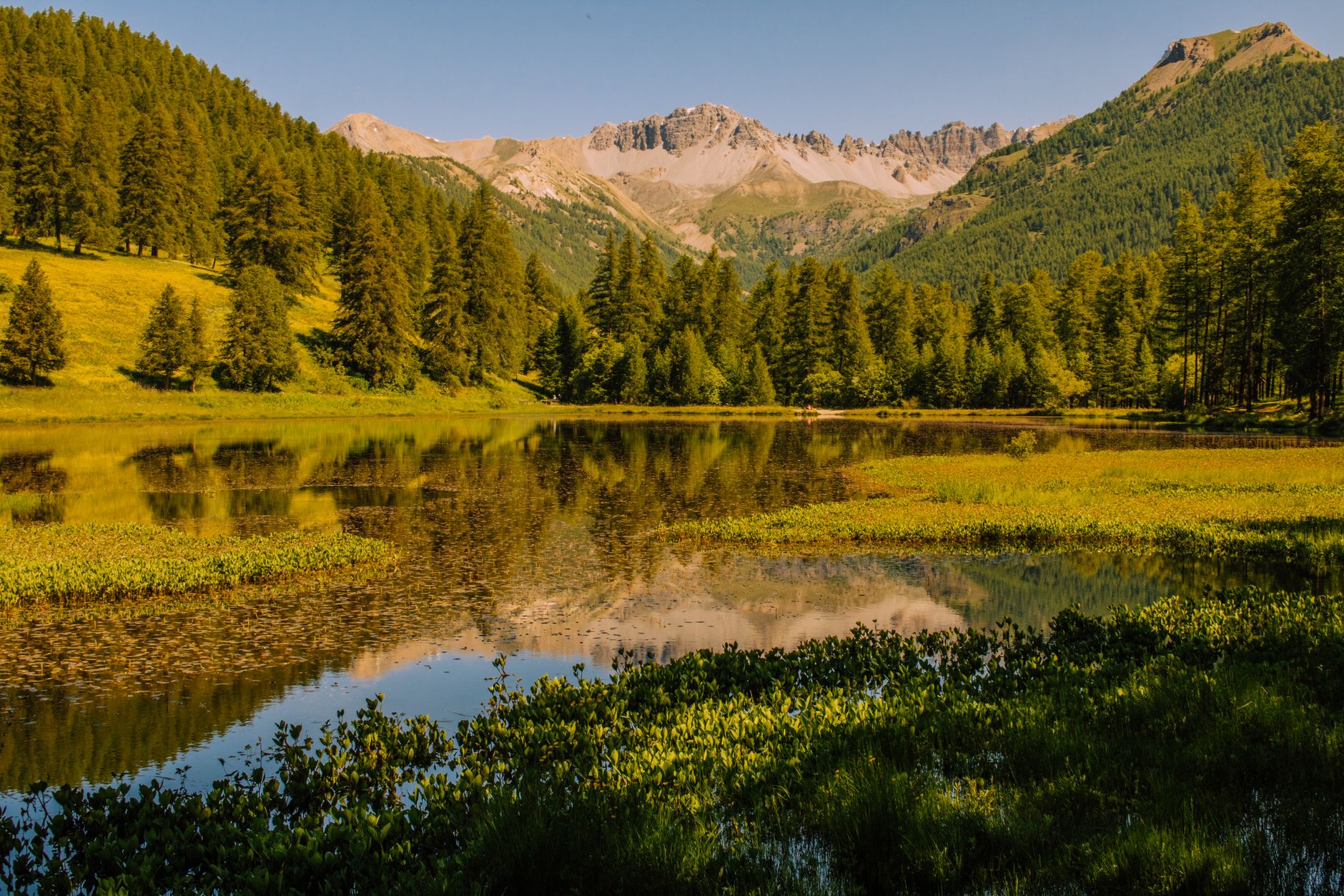 Wälder in Frankreich, Spanien und Italien brennen