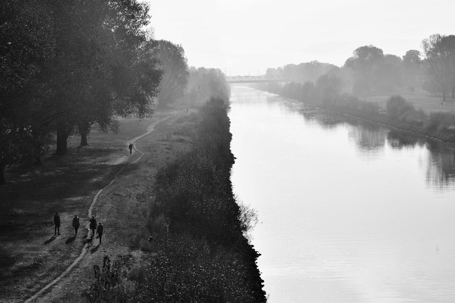Massiver Stellenabbau: Wie gehtes weiter am Pharmastandort Marburg?