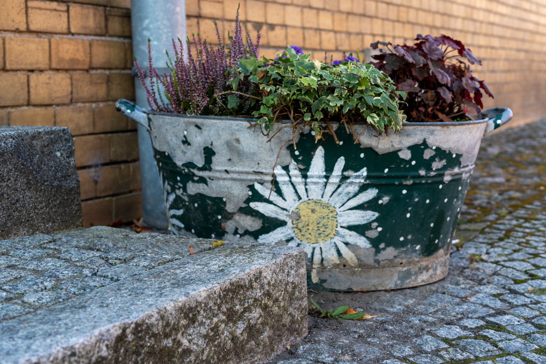 Garten-Tipps: »Ich würde bei einer Neuplanung nicht gleich alles mit Rollrasen auslegen«