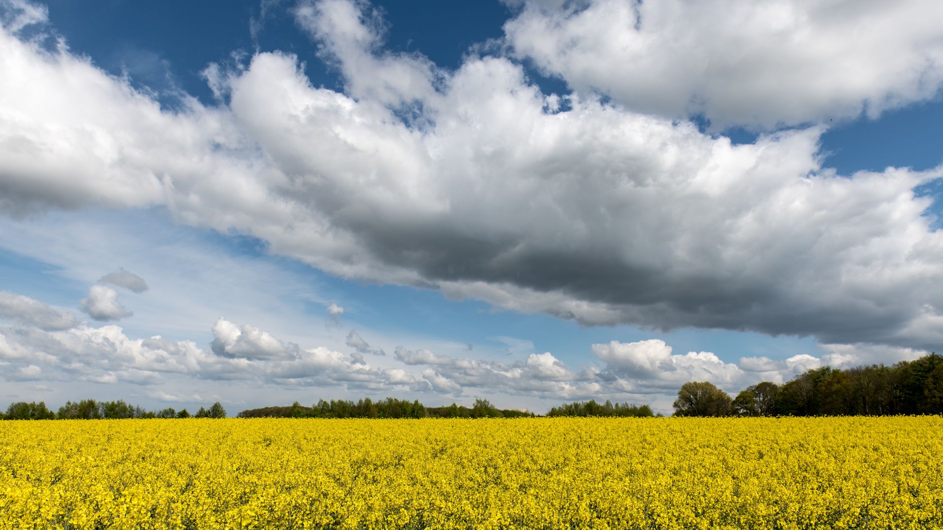 Wetter - Im Norden Wolkenfelder, sonst sonnig