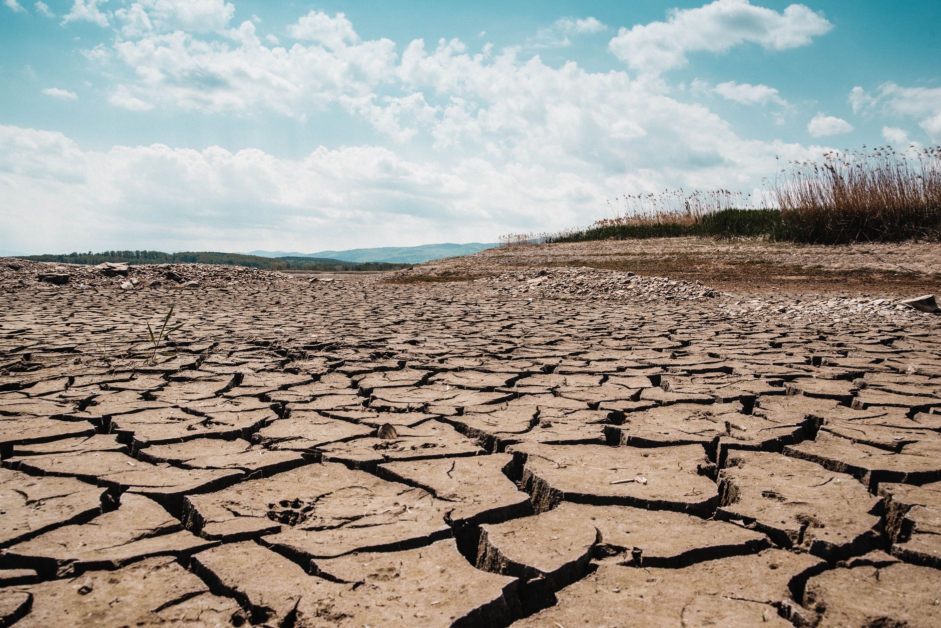 Klimawandel: Hitze gefährdet zunehmend die Trinkwasserversorgung