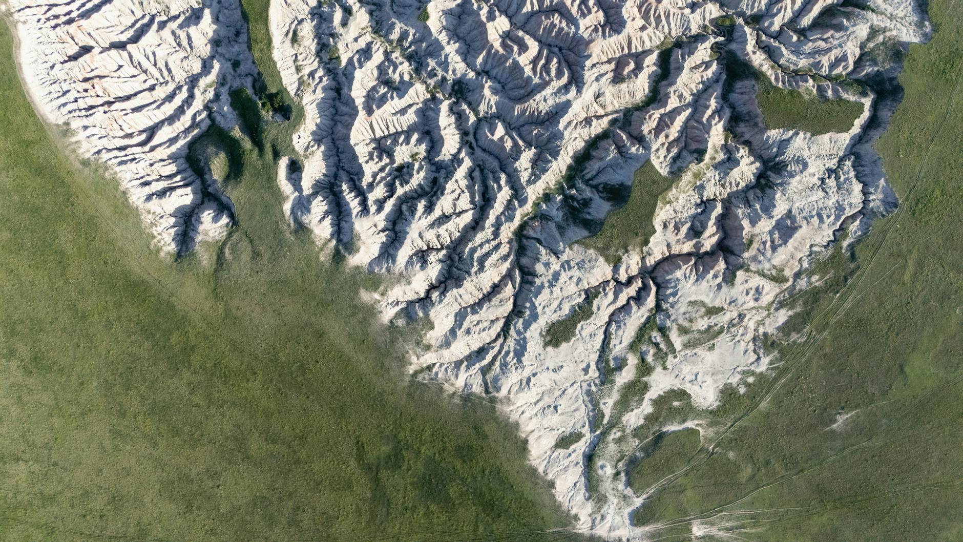 Predator: Badlands im 4K-Heimkinotest: Monster Hunter statt Schwarzenegger